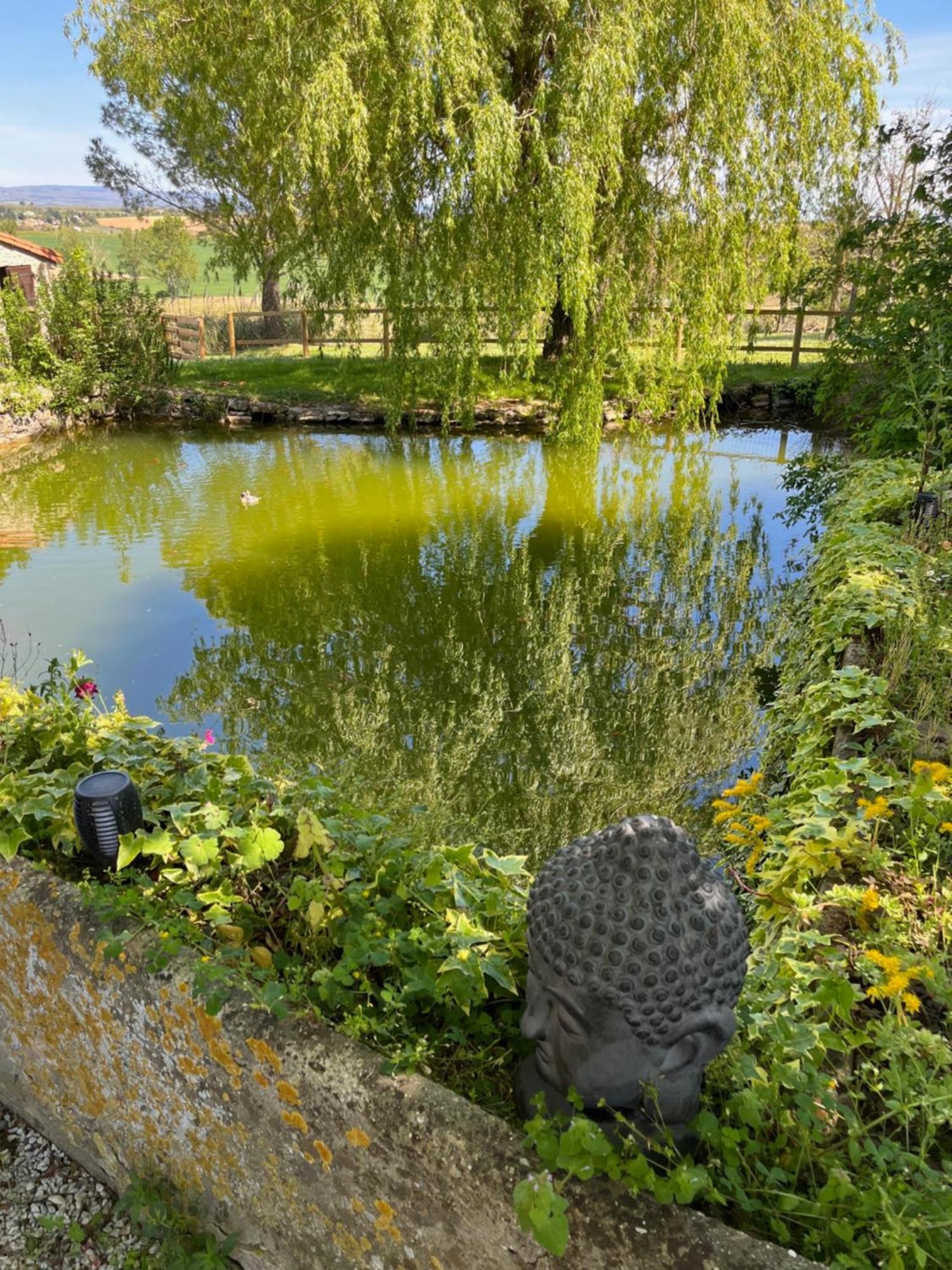 Domaine Saladry Villa Villepinte  Eksteriør bilde